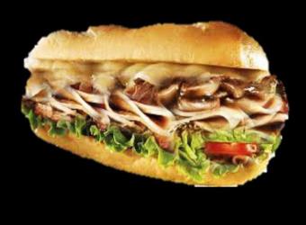 ژامبون مرغ 